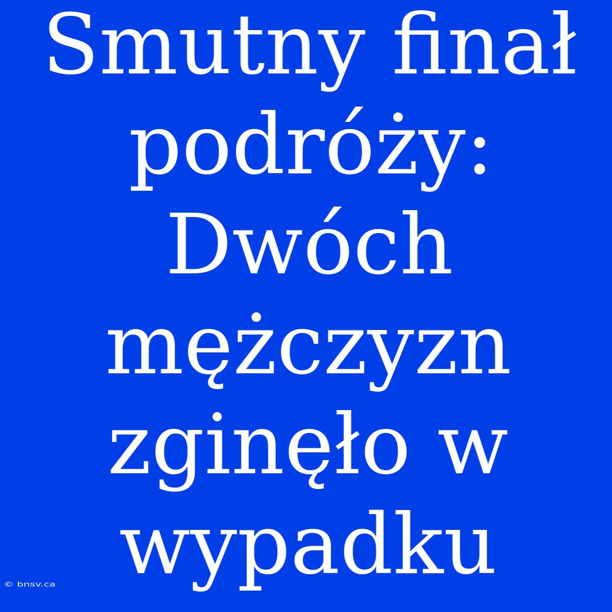 Smutny Finał Podróży: Dwóch Mężczyzn Zginęło W Wypadku