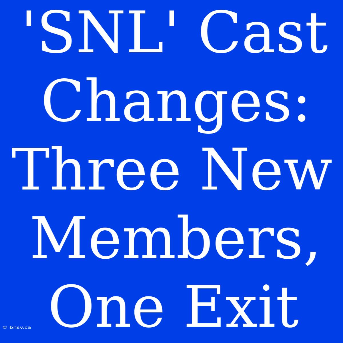 'SNL' Cast Changes: Three New Members, One Exit