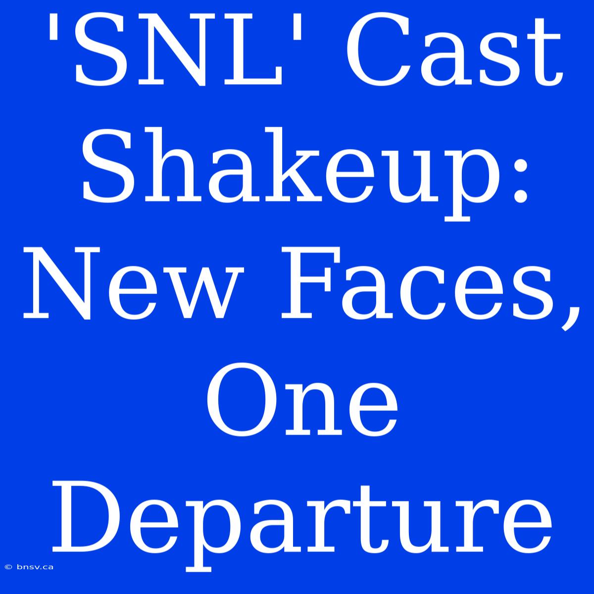 'SNL' Cast Shakeup: New Faces, One Departure