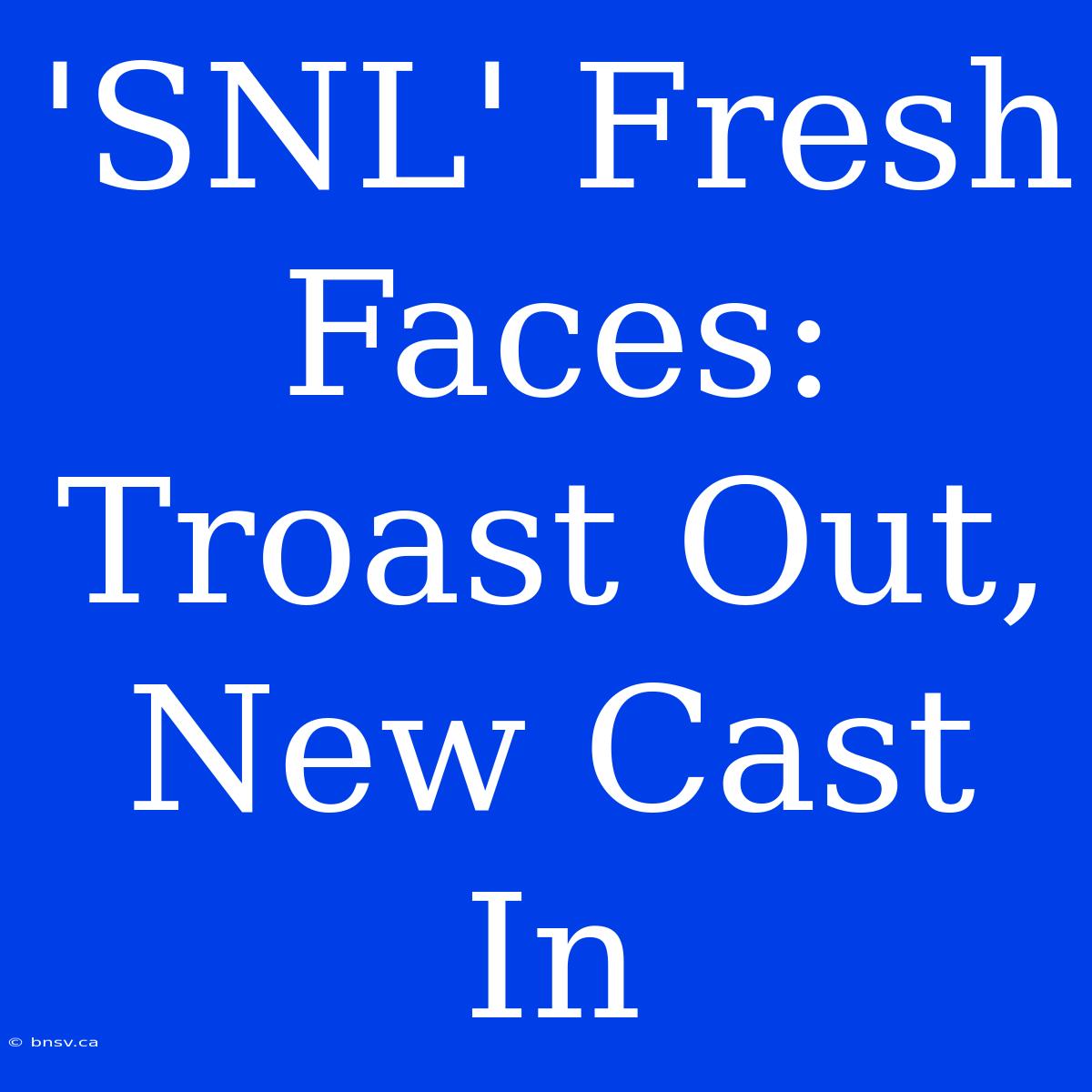 'SNL' Fresh Faces: Troast Out, New Cast In