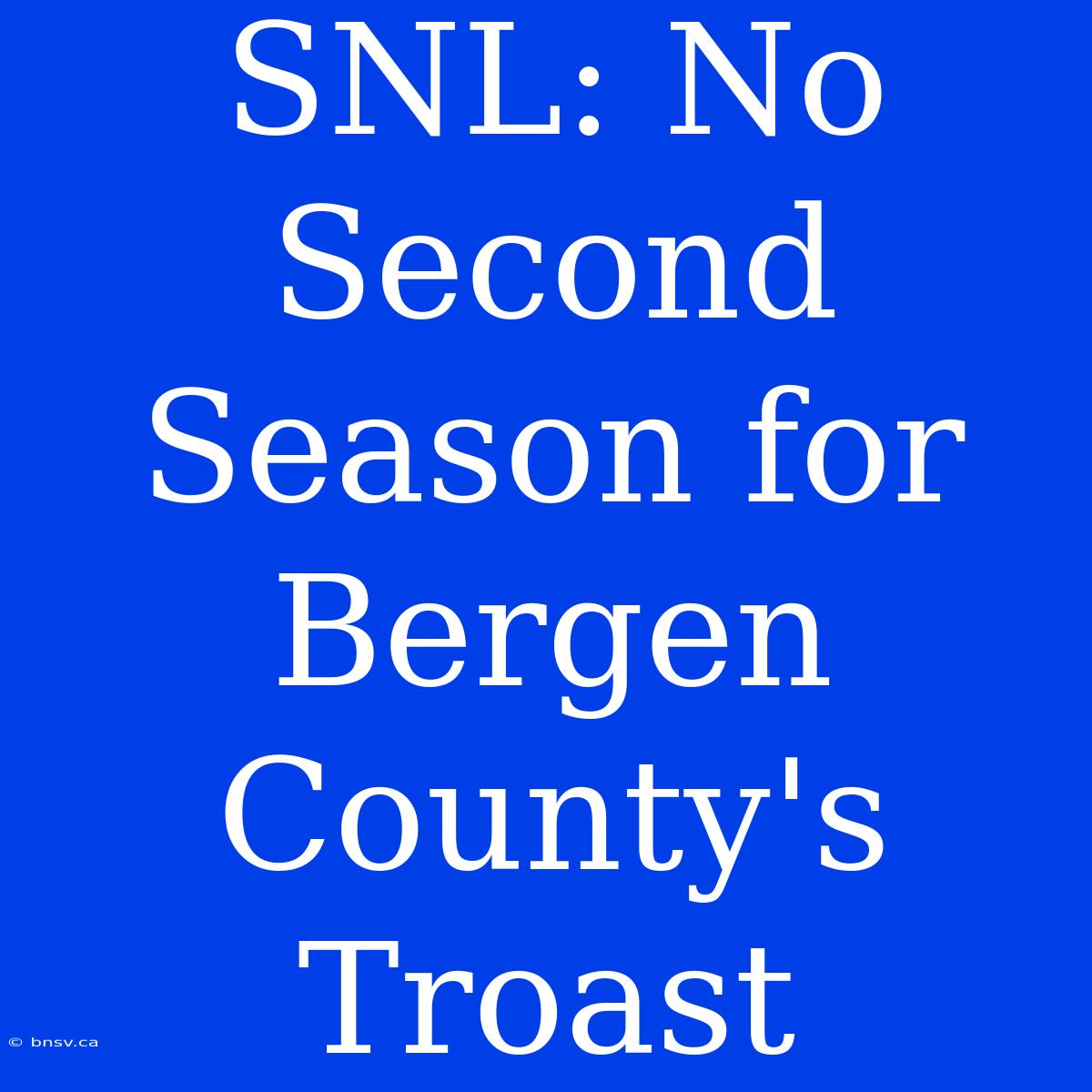 SNL: No Second Season For Bergen County's Troast