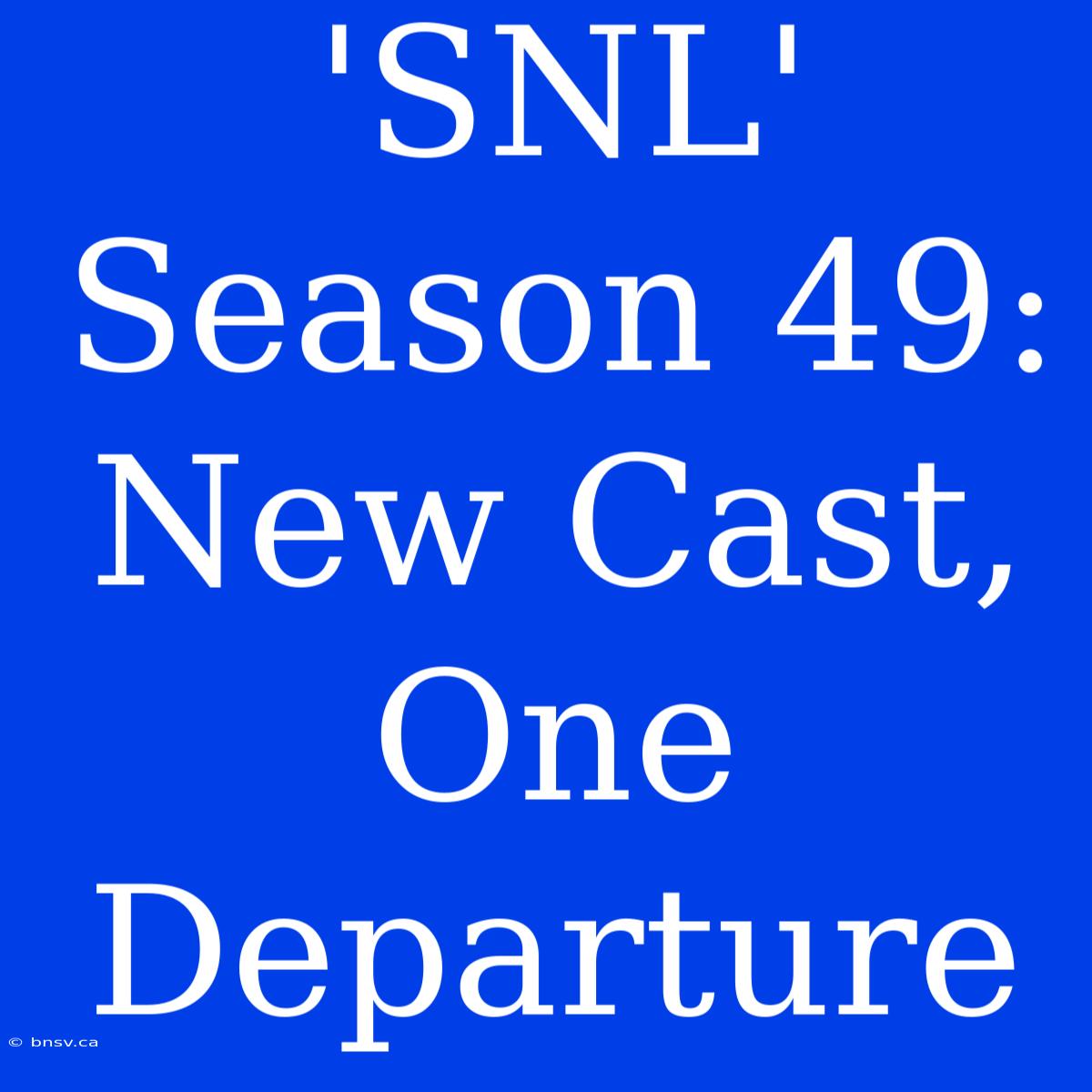 'SNL' Season 49: New Cast, One Departure