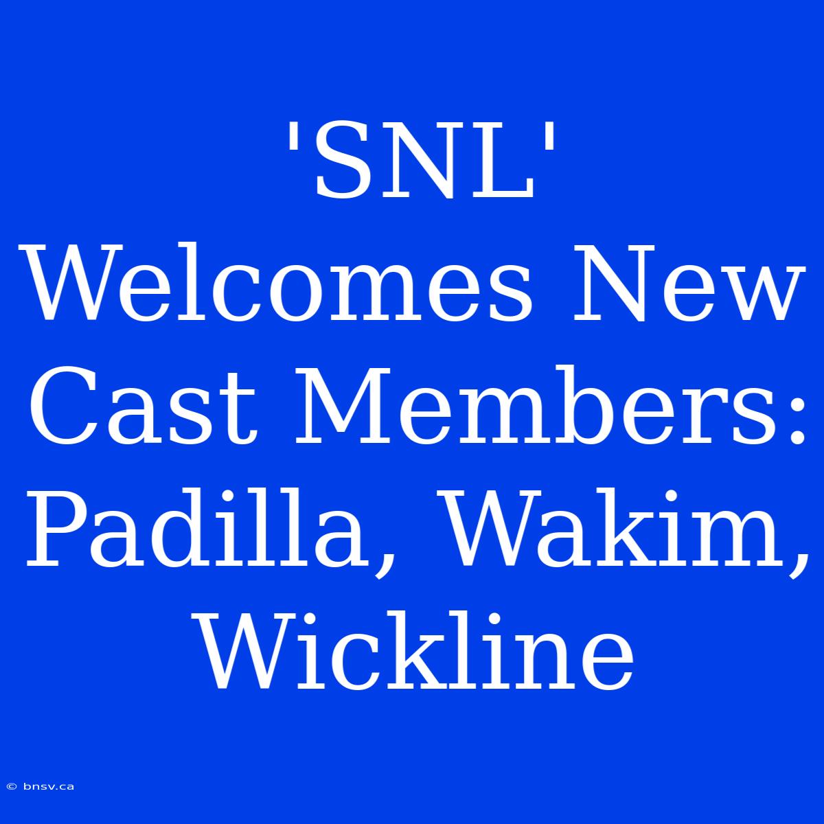 'SNL' Welcomes New Cast Members: Padilla, Wakim, Wickline