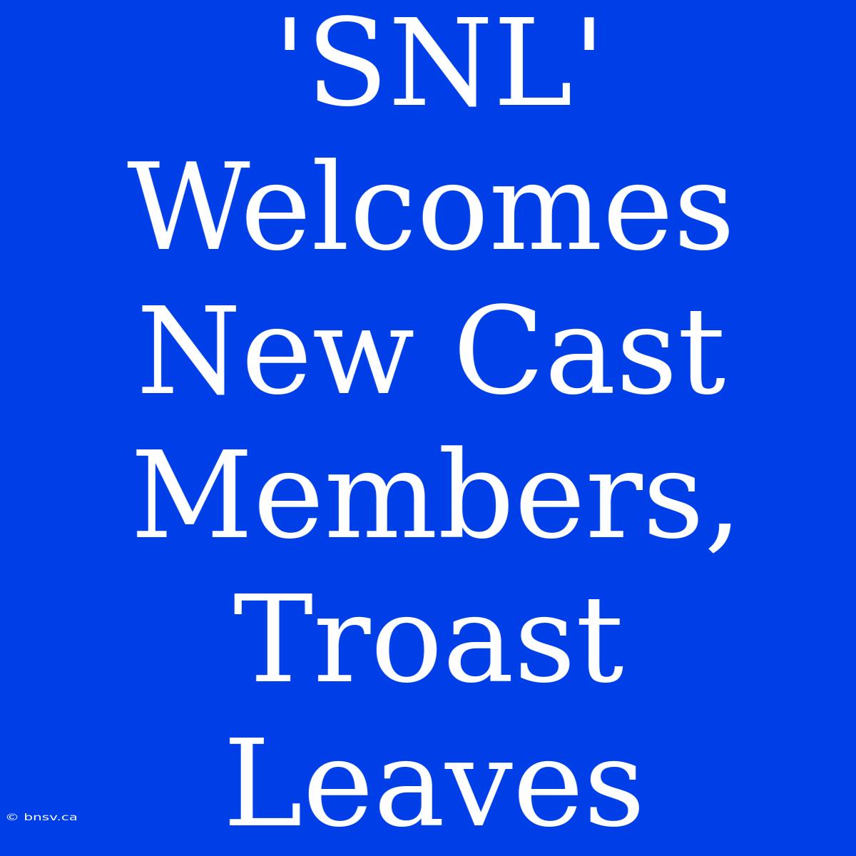 'SNL' Welcomes New Cast Members, Troast Leaves