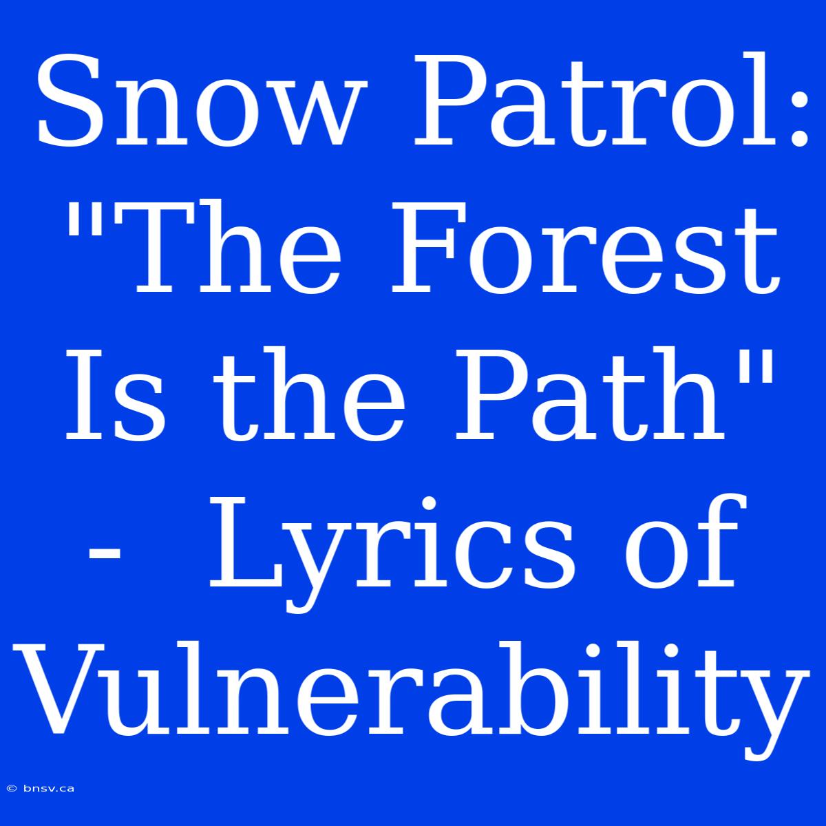 Snow Patrol: 