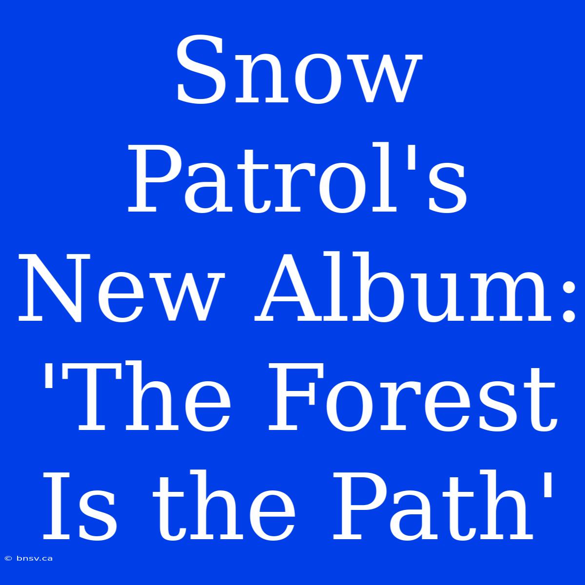 Snow Patrol's New Album: 'The Forest Is The Path'