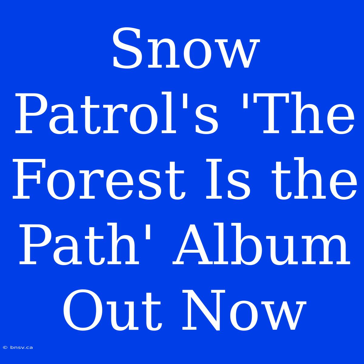 Snow Patrol's 'The Forest Is The Path' Album Out Now