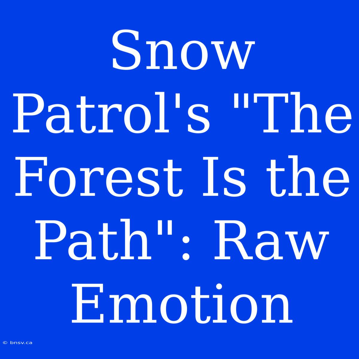 Snow Patrol's 