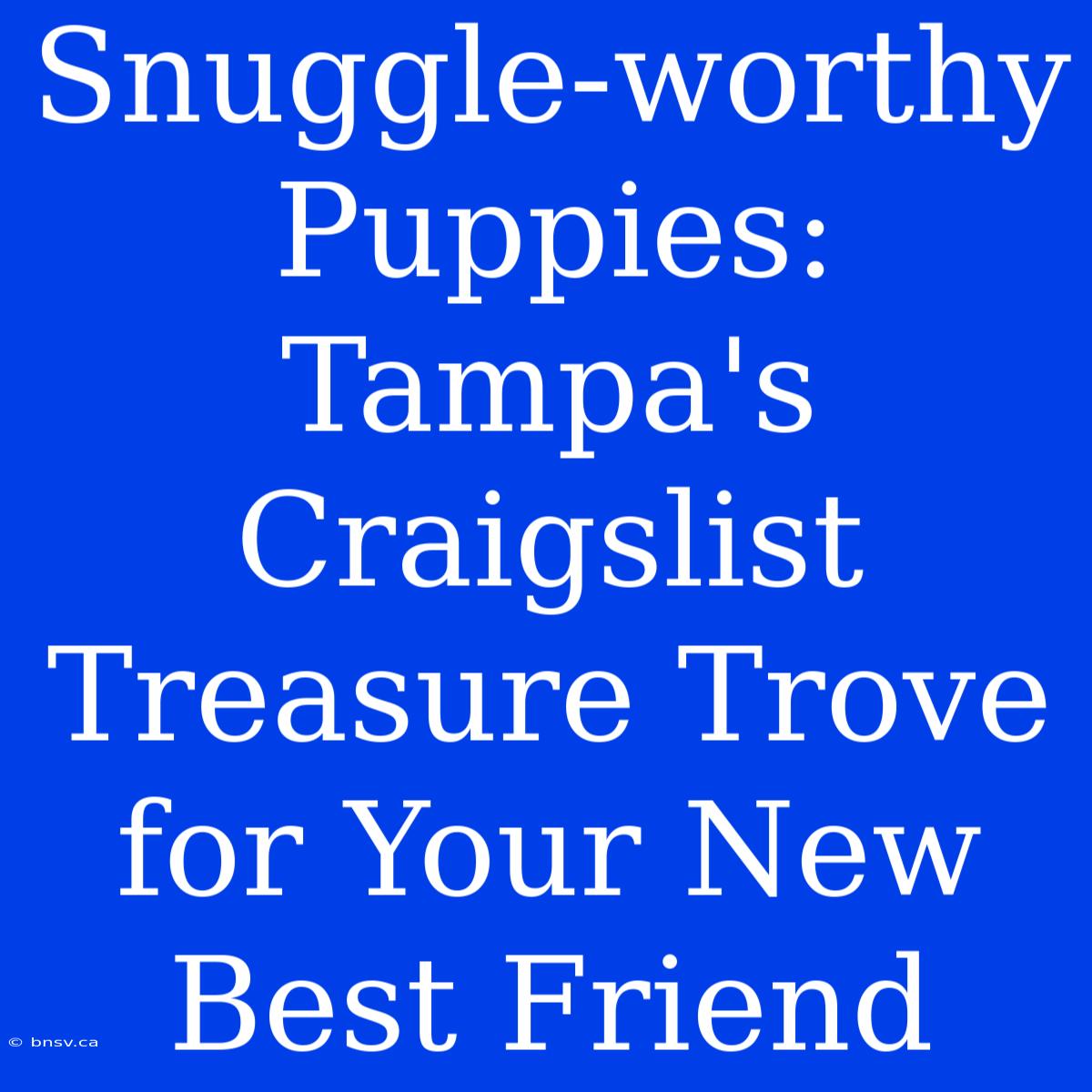 Snuggle-worthy Puppies: Tampa's Craigslist Treasure Trove For Your New Best Friend