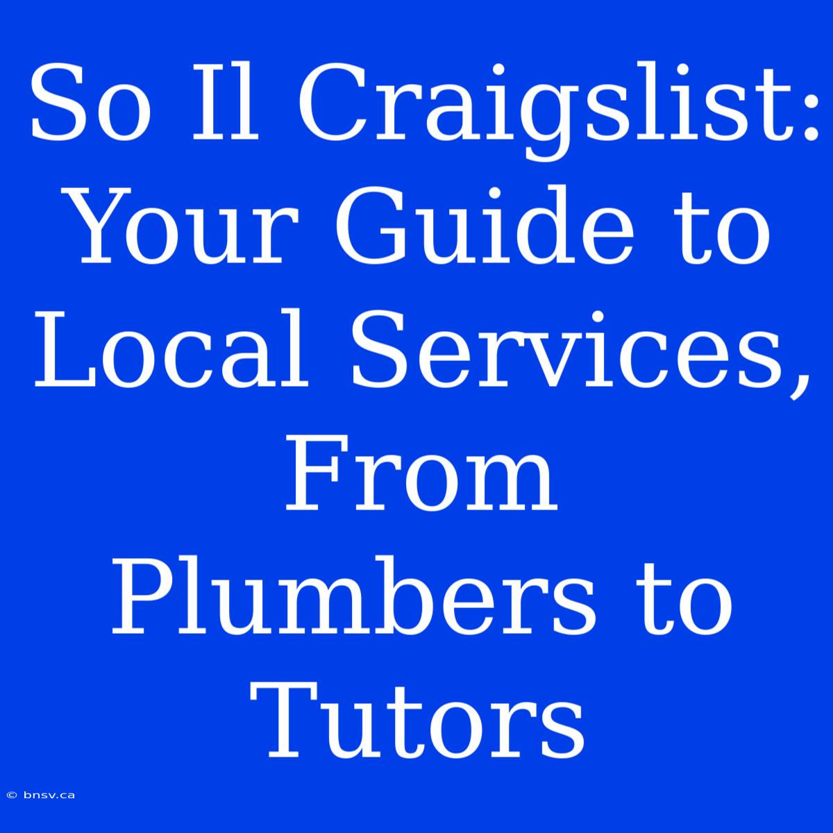 So Il Craigslist: Your Guide To Local Services, From Plumbers To Tutors