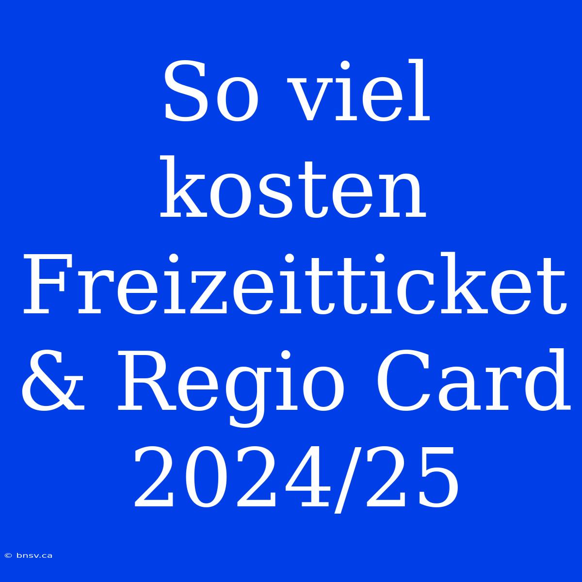 So Viel Kosten Freizeitticket & Regio Card 2024/25