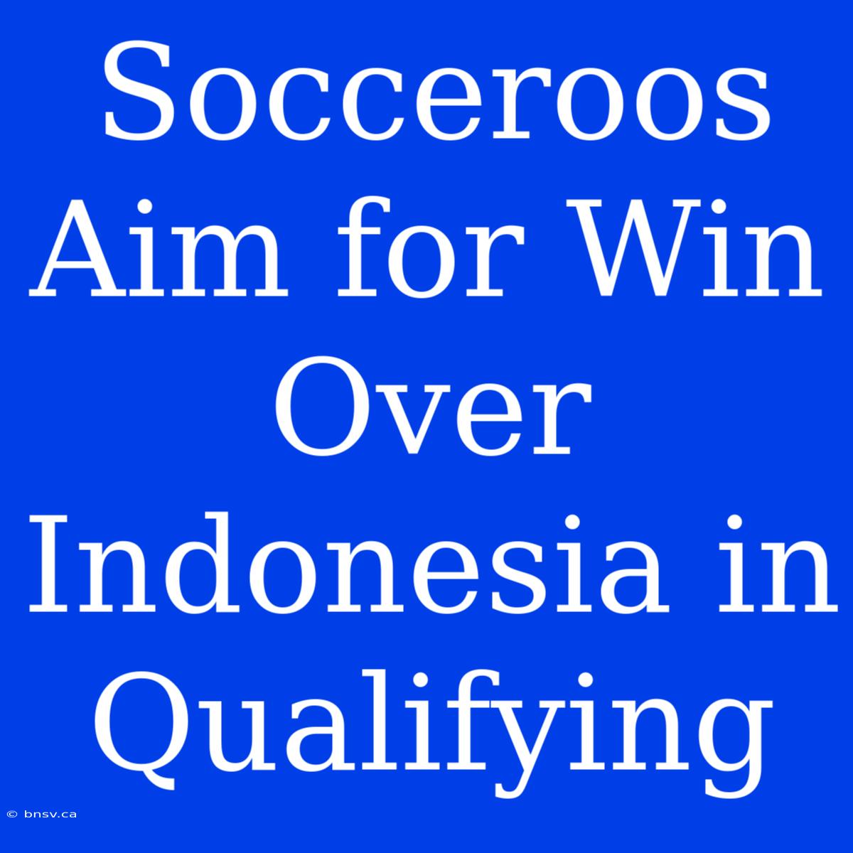 Socceroos Aim For Win Over Indonesia In Qualifying