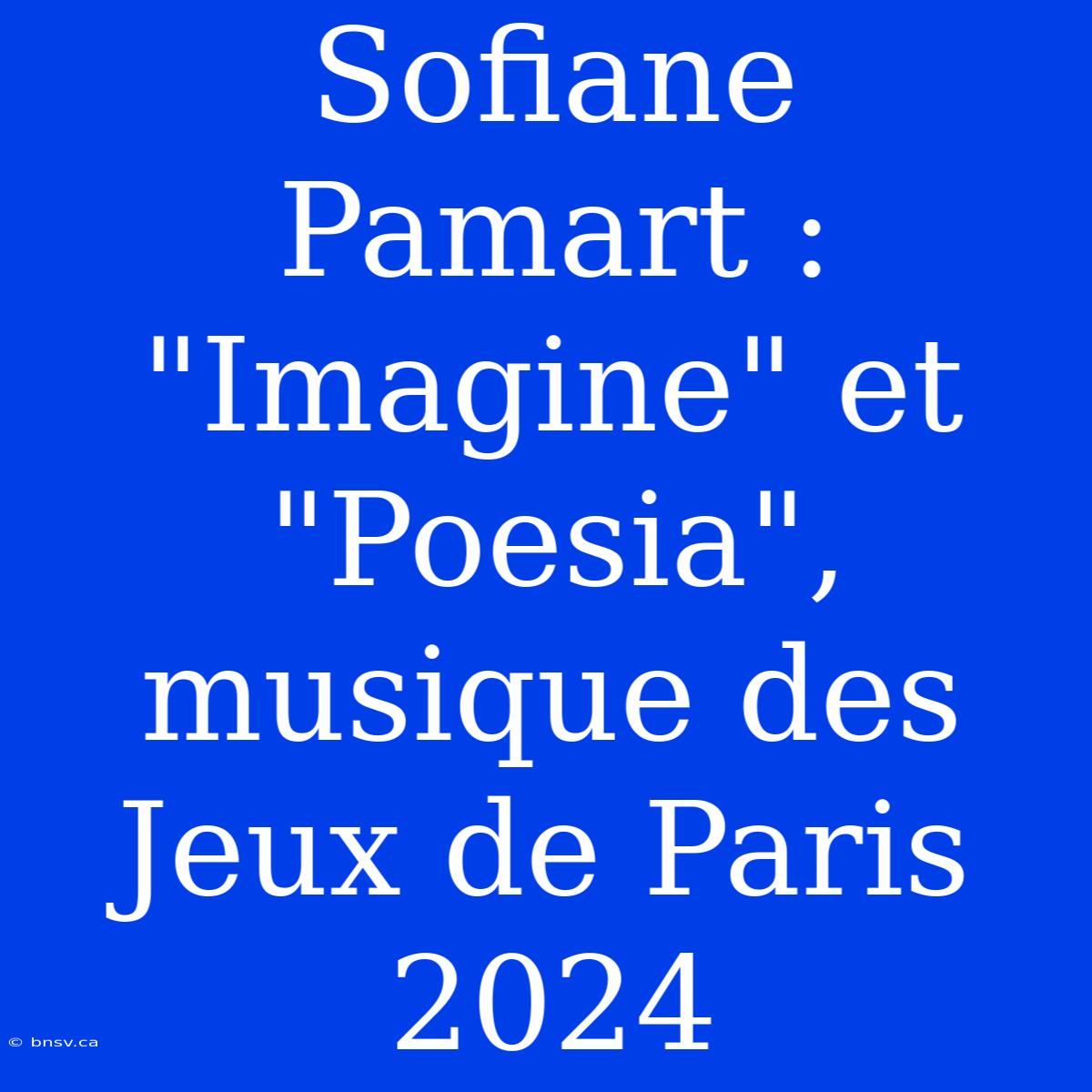 Sofiane Pamart : 