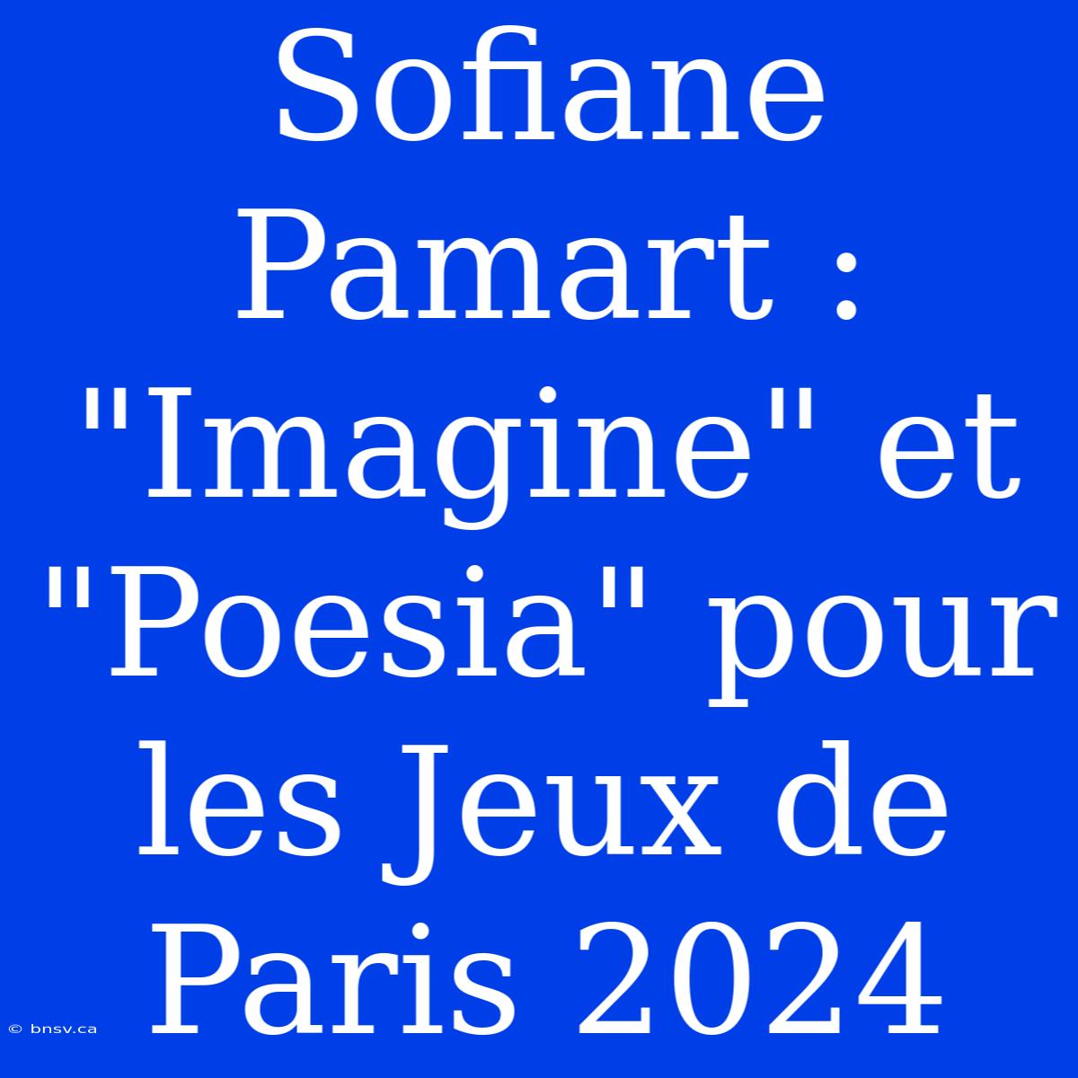 Sofiane Pamart : 