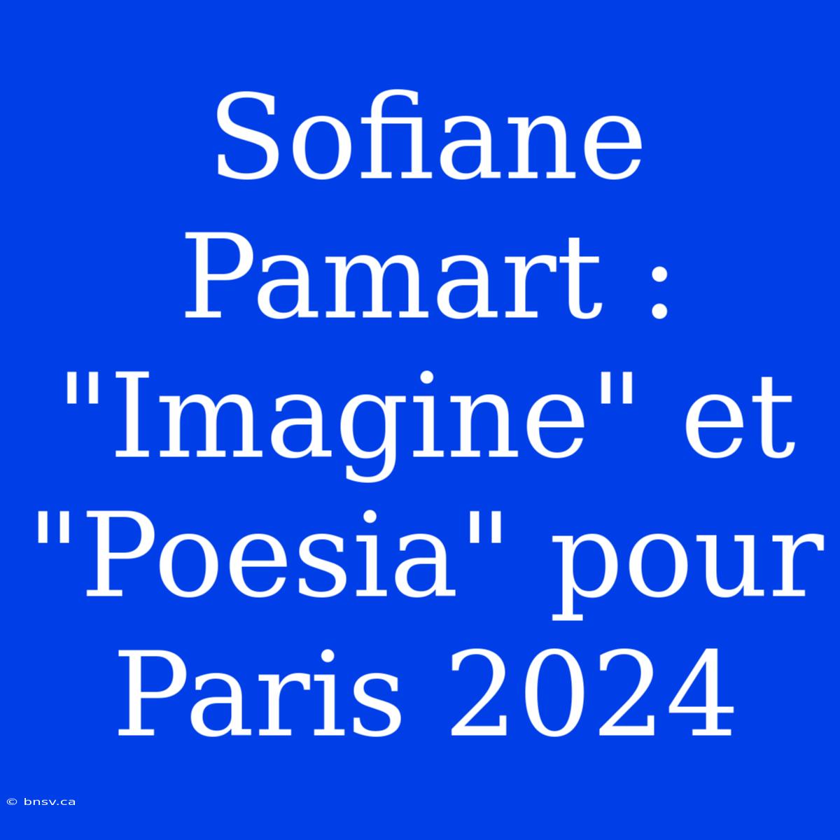 Sofiane Pamart : 