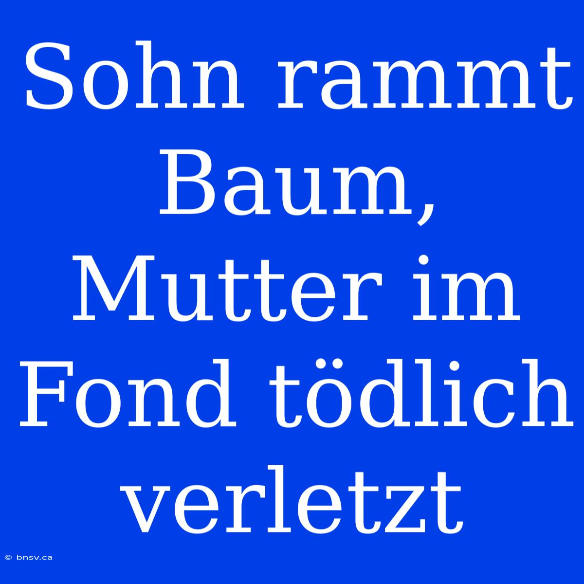 Sohn Rammt Baum, Mutter Im Fond Tödlich Verletzt