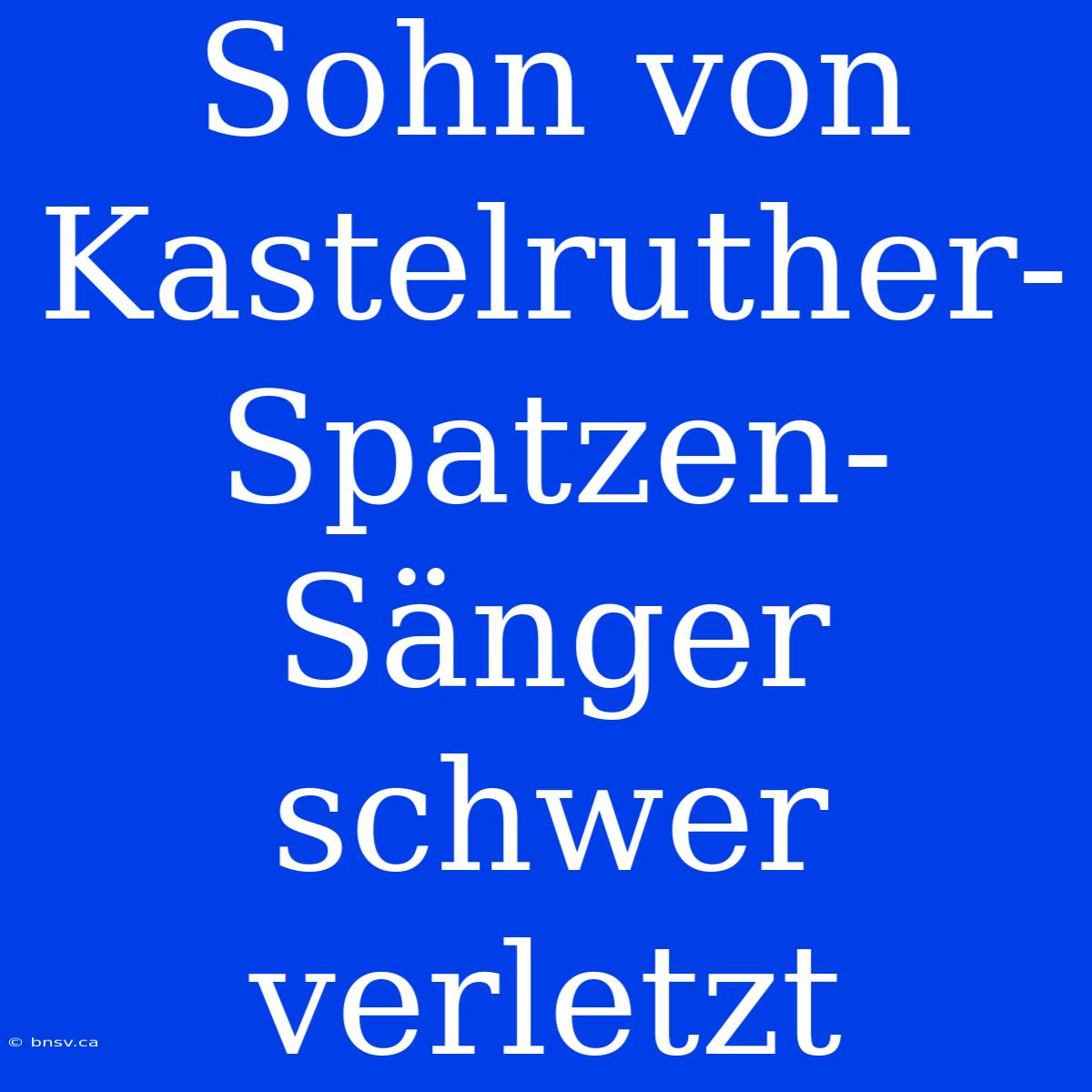 Sohn Von Kastelruther-Spatzen-Sänger Schwer Verletzt