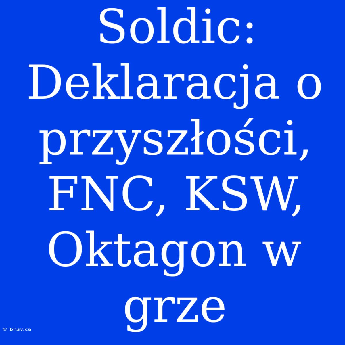 Soldic: Deklaracja O Przyszłości, FNC, KSW, Oktagon W Grze