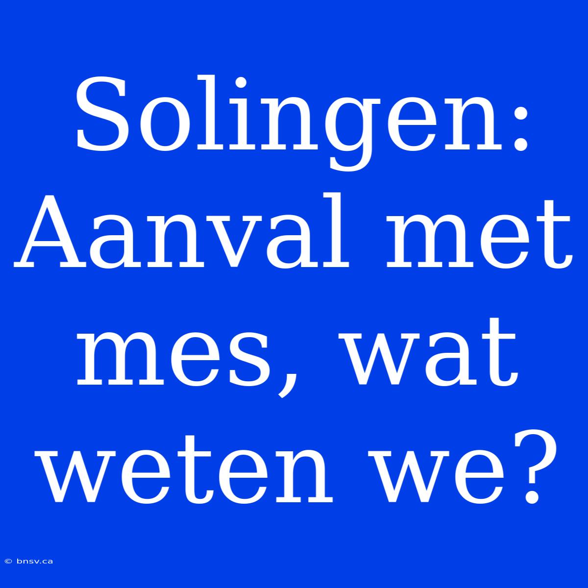 Solingen: Aanval Met Mes, Wat Weten We?