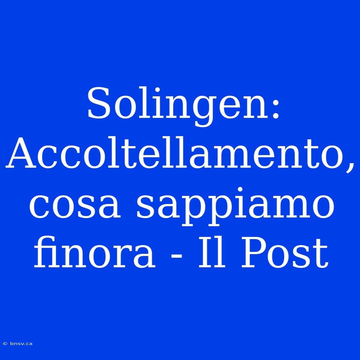 Solingen: Accoltellamento, Cosa Sappiamo Finora - Il Post