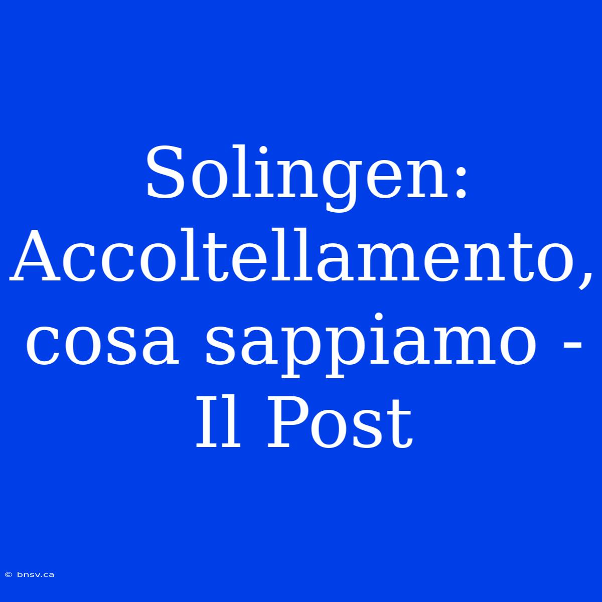 Solingen: Accoltellamento, Cosa Sappiamo - Il Post