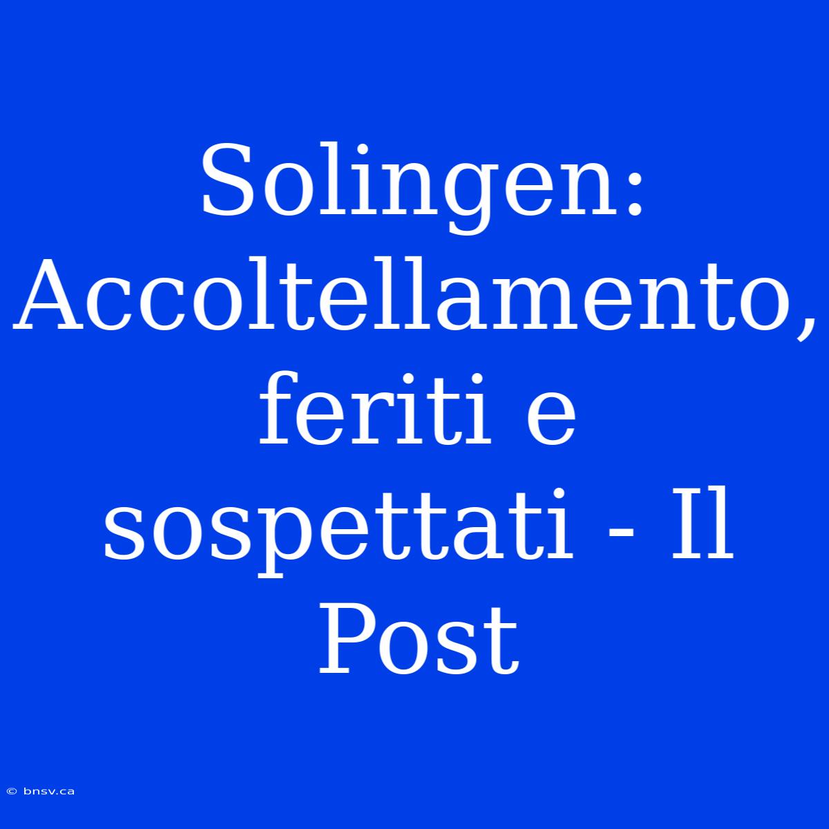 Solingen: Accoltellamento, Feriti E Sospettati - Il Post