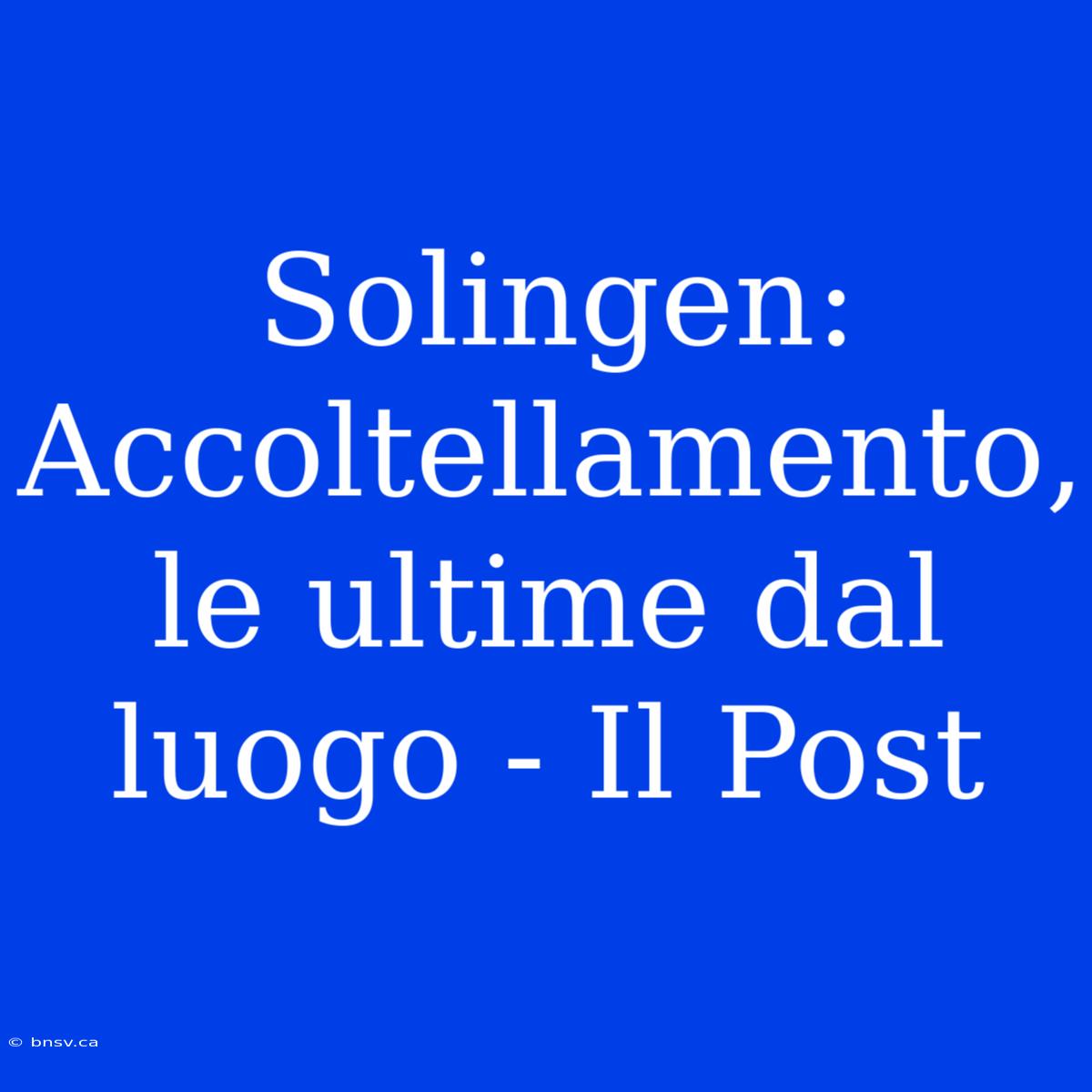 Solingen: Accoltellamento, Le Ultime Dal Luogo - Il Post