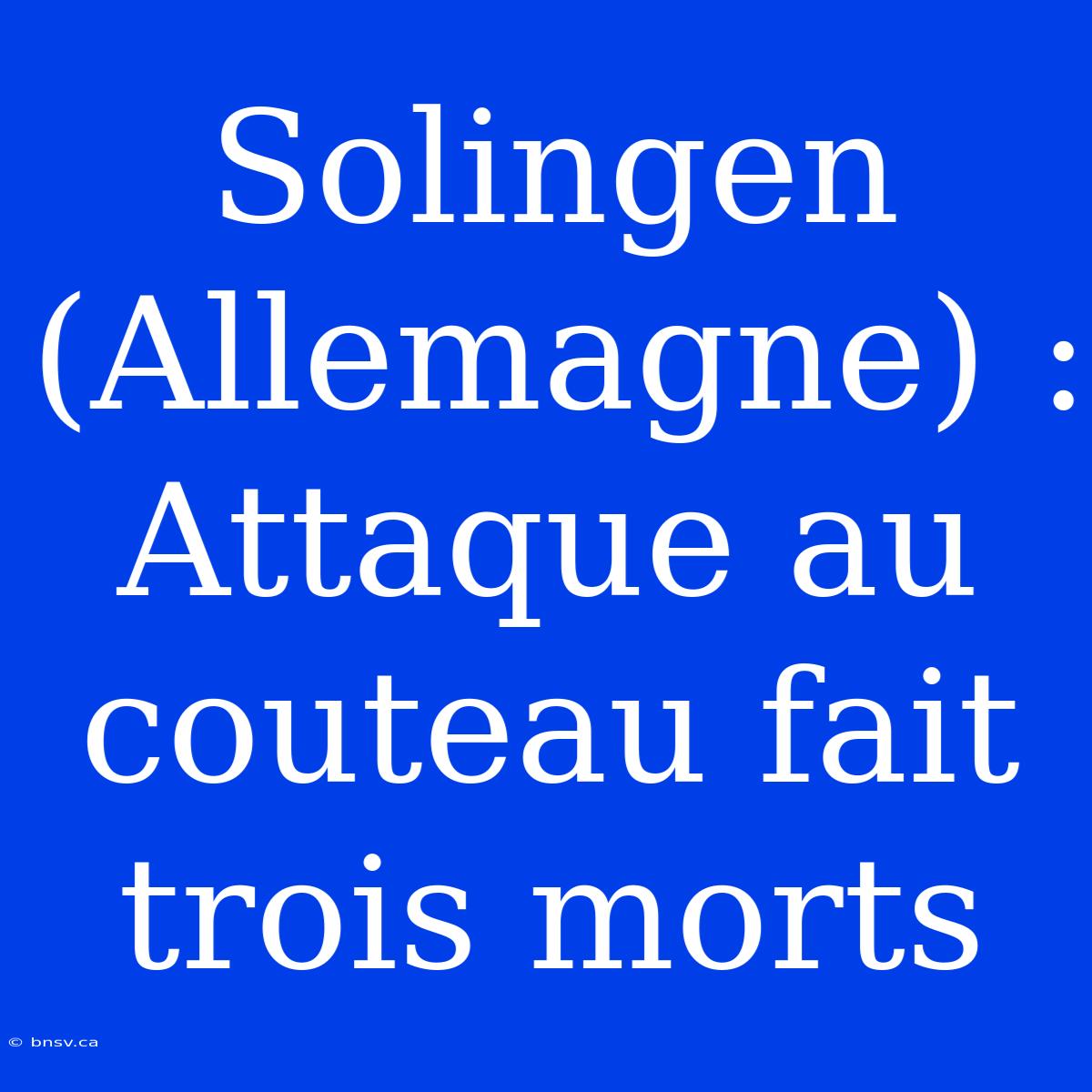 Solingen (Allemagne) : Attaque Au Couteau Fait Trois Morts