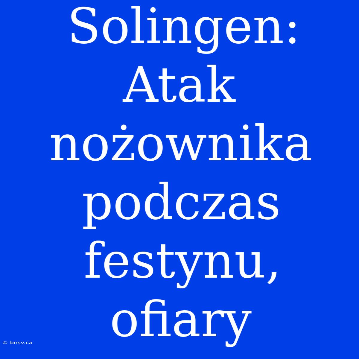 Solingen: Atak Nożownika Podczas Festynu, Ofiary