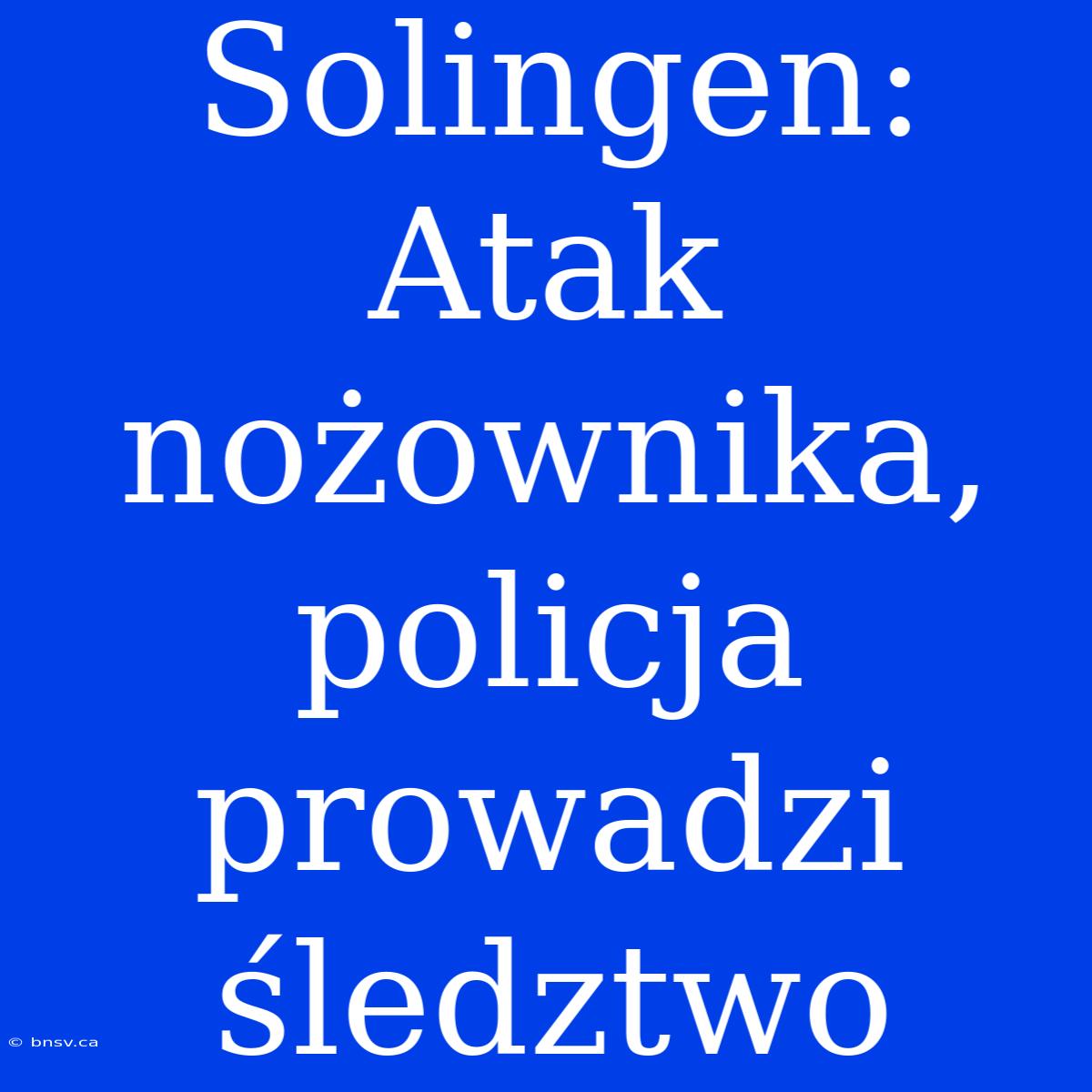 Solingen: Atak Nożownika, Policja Prowadzi Śledztwo