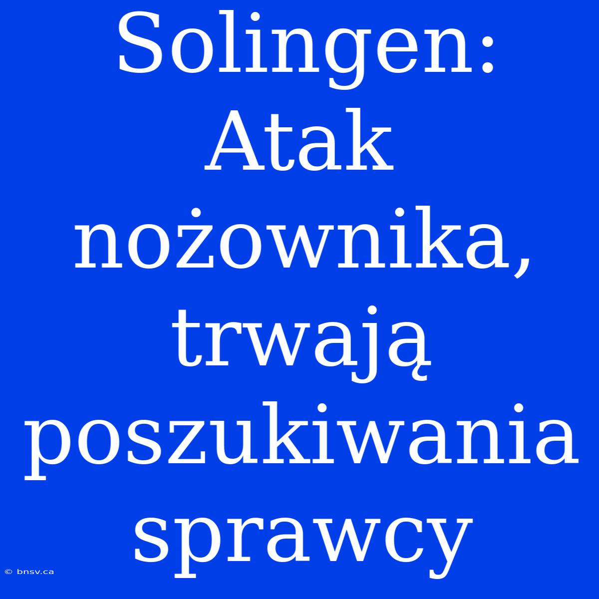 Solingen: Atak Nożownika, Trwają Poszukiwania Sprawcy