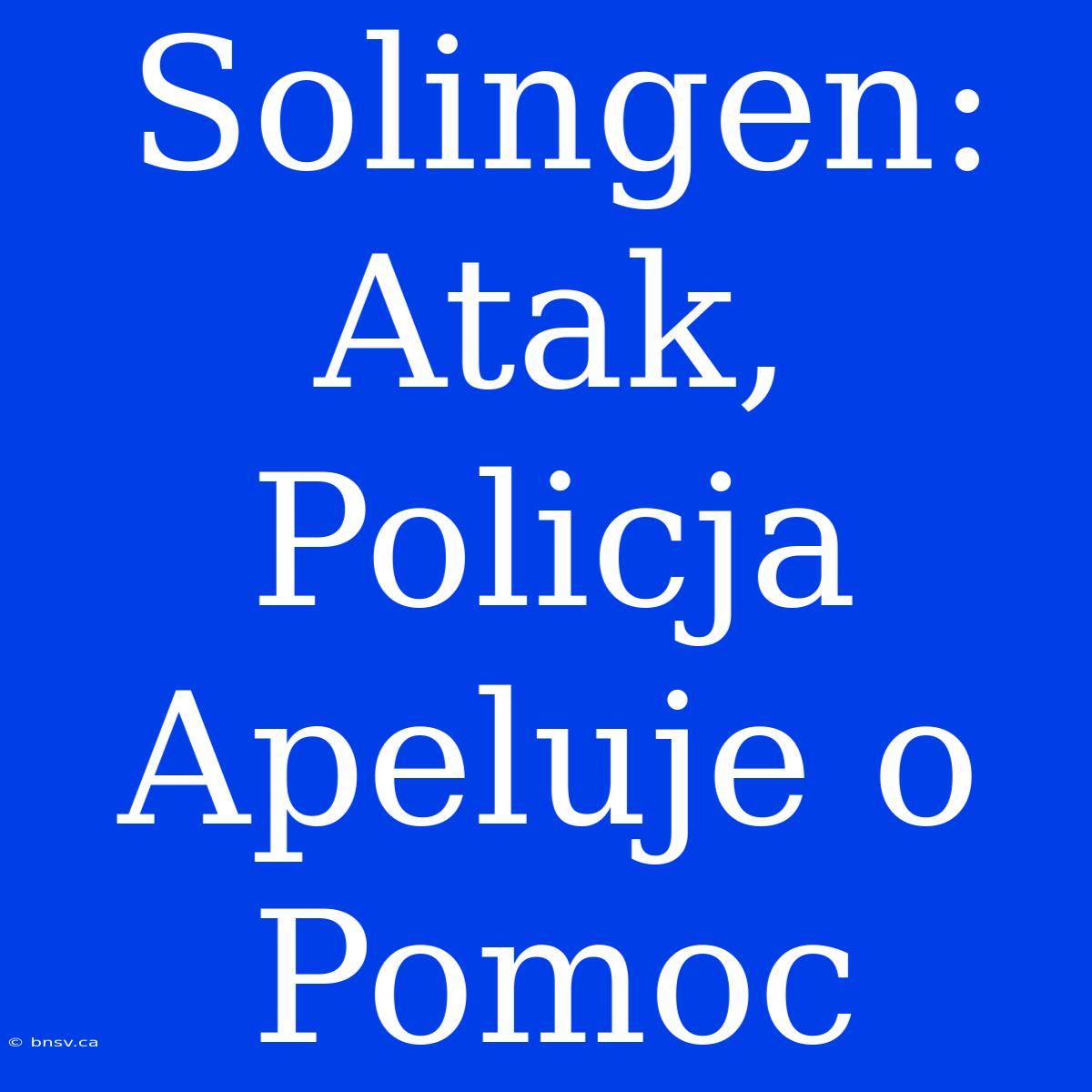 Solingen: Atak, Policja Apeluje O Pomoc