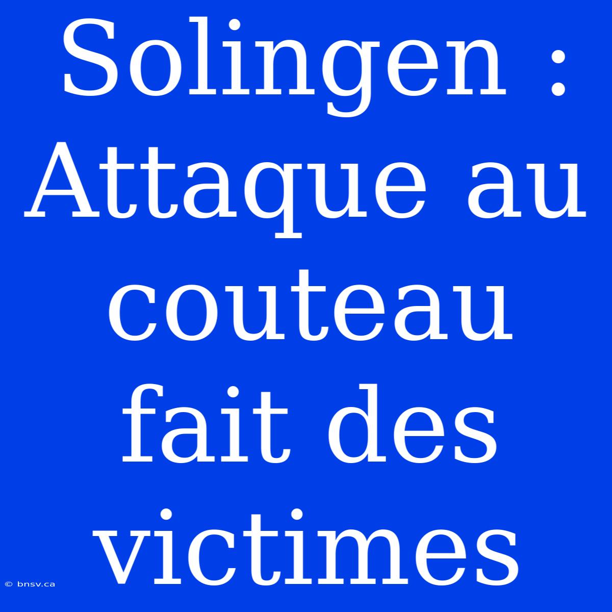 Solingen : Attaque Au Couteau Fait Des Victimes