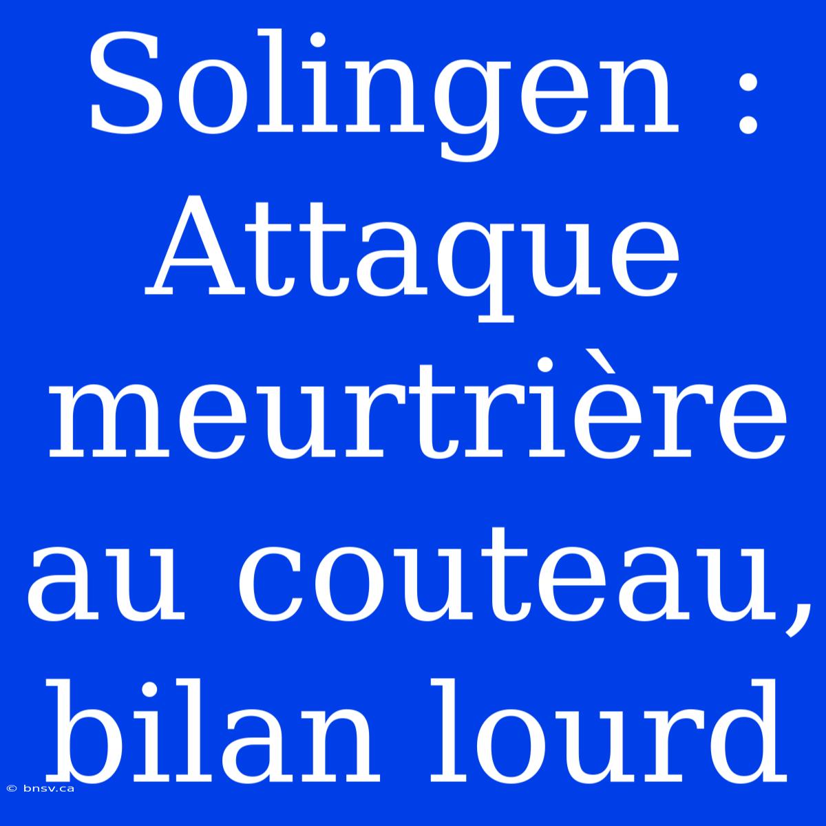 Solingen : Attaque Meurtrière Au Couteau, Bilan Lourd