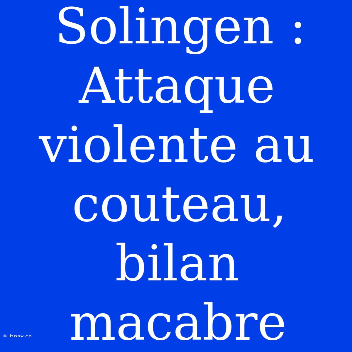 Solingen : Attaque Violente Au Couteau, Bilan Macabre