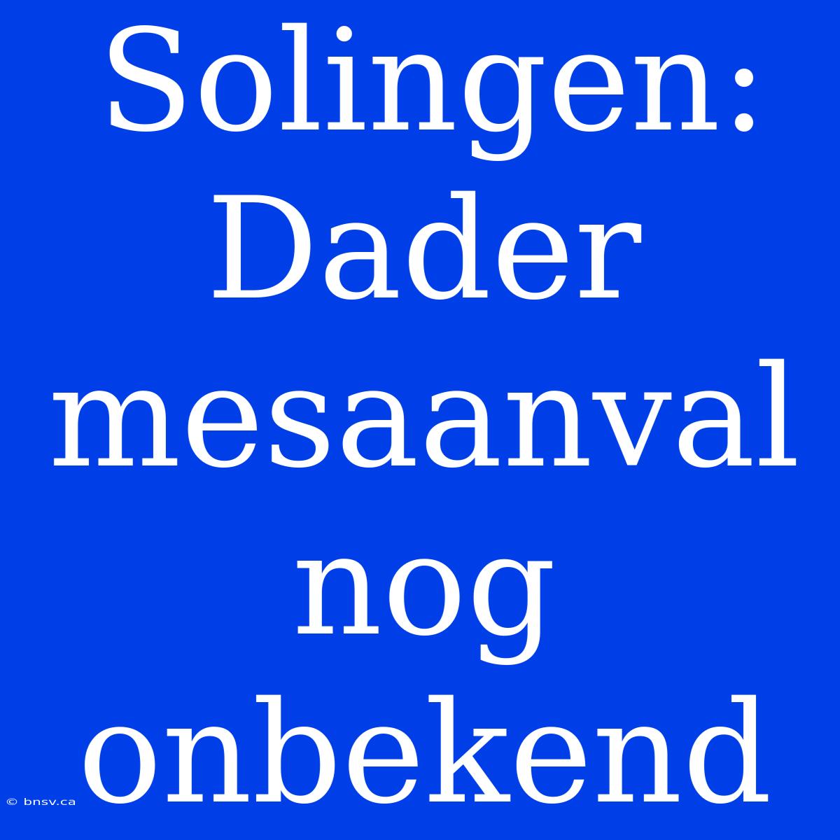 Solingen: Dader Mesaanval Nog Onbekend