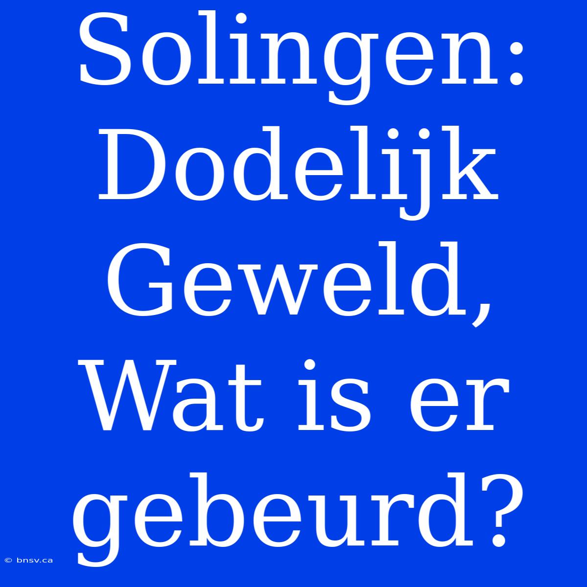 Solingen: Dodelijk Geweld, Wat Is Er Gebeurd?