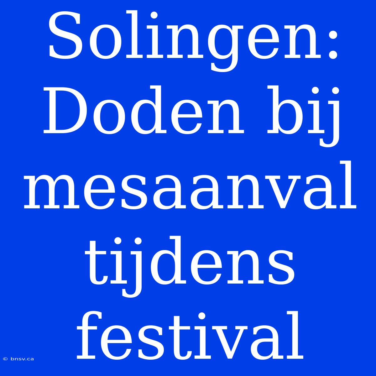 Solingen: Doden Bij Mesaanval Tijdens Festival