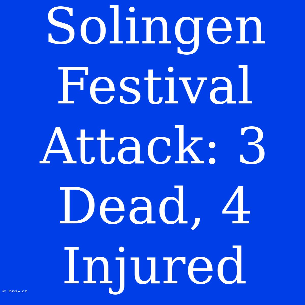 Solingen Festival Attack: 3 Dead, 4 Injured