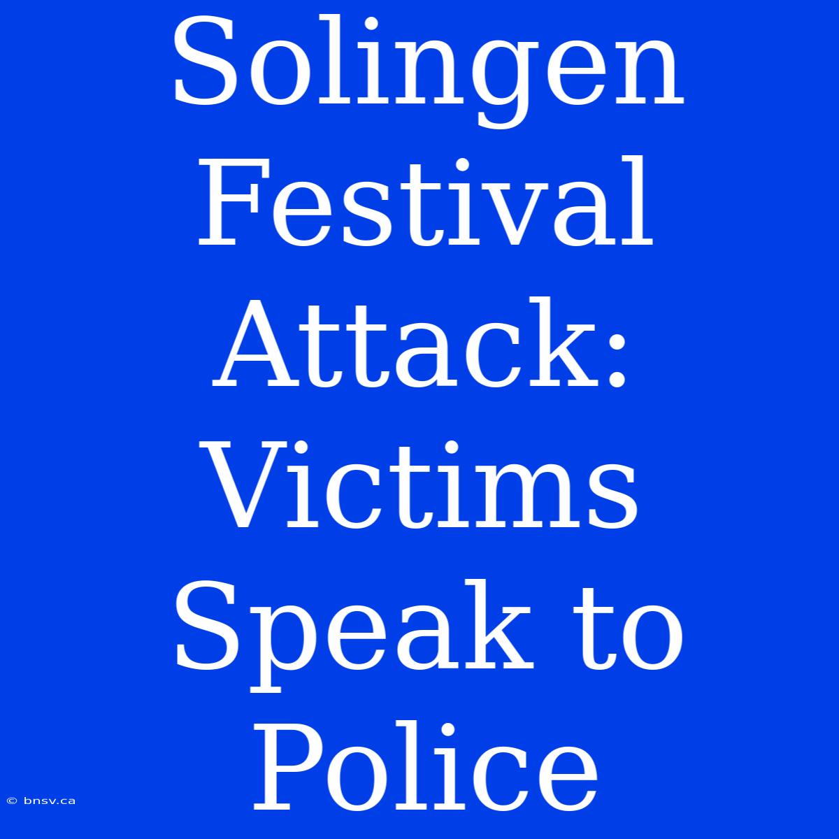 Solingen Festival Attack: Victims Speak To Police