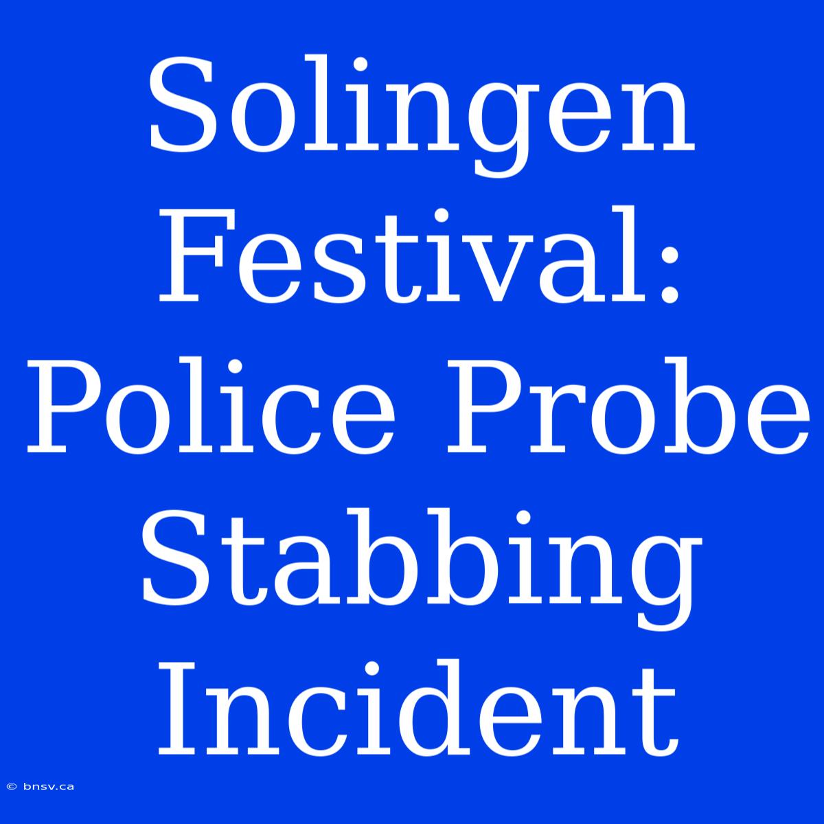 Solingen Festival: Police Probe Stabbing Incident