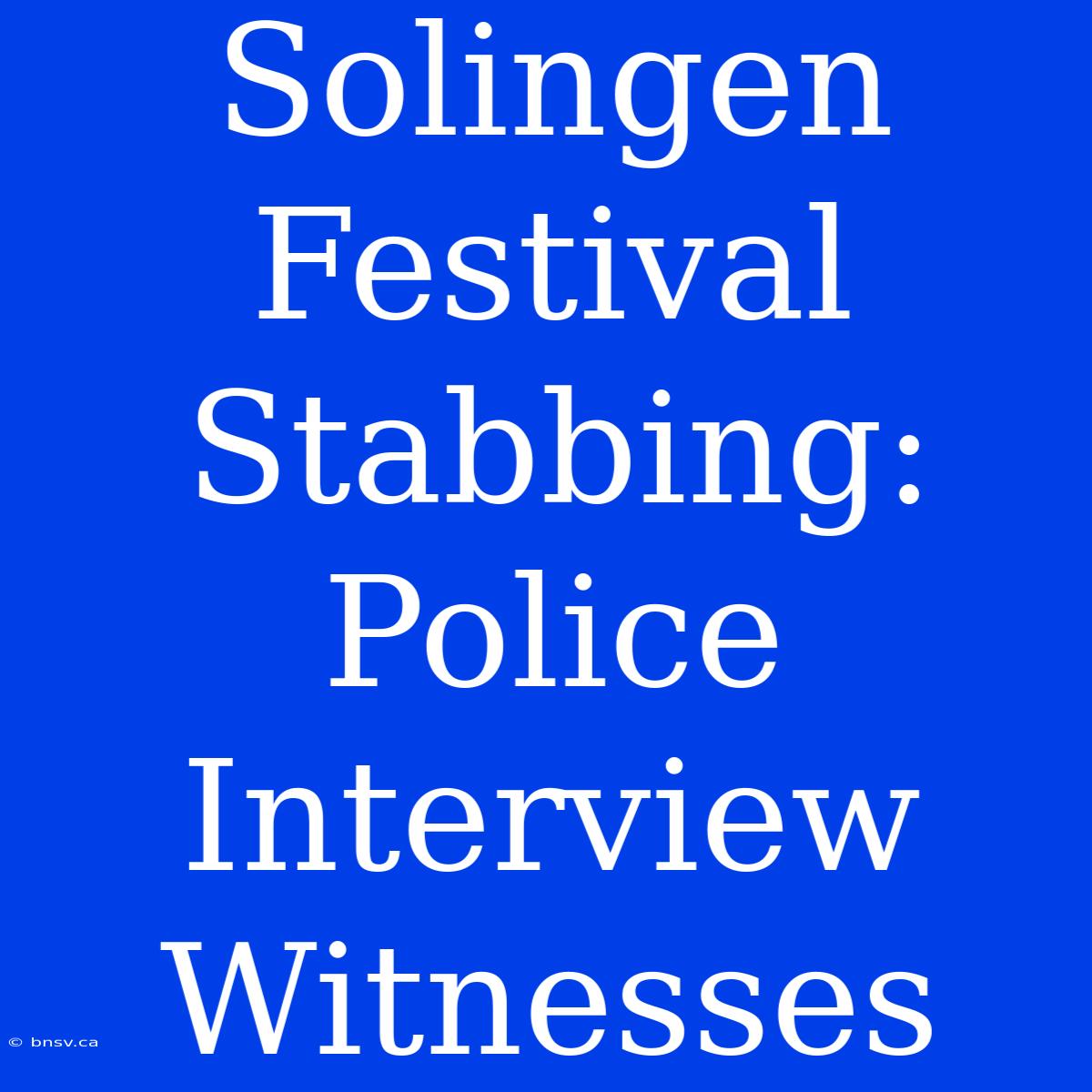 Solingen Festival Stabbing: Police Interview Witnesses