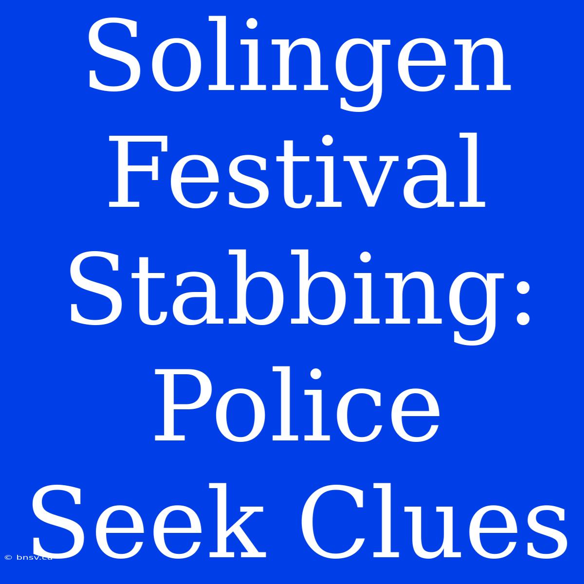 Solingen Festival Stabbing: Police Seek Clues