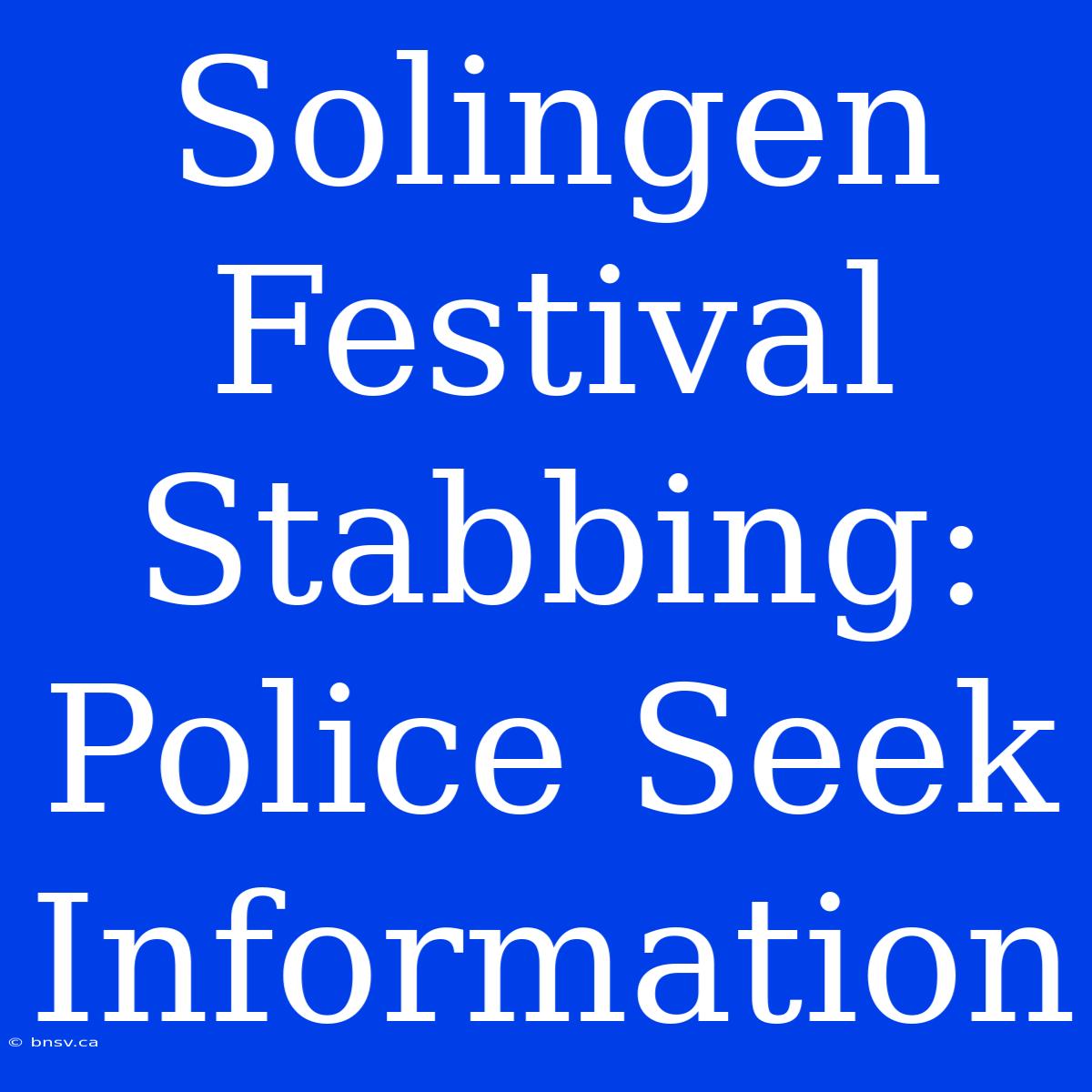 Solingen Festival Stabbing: Police Seek Information