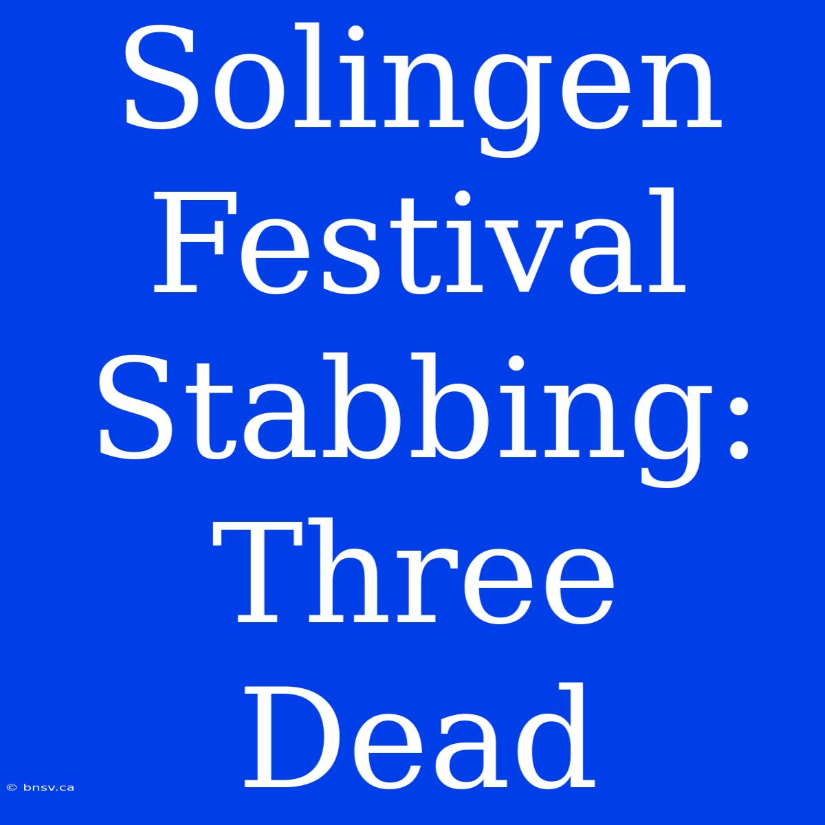 Solingen Festival Stabbing: Three Dead