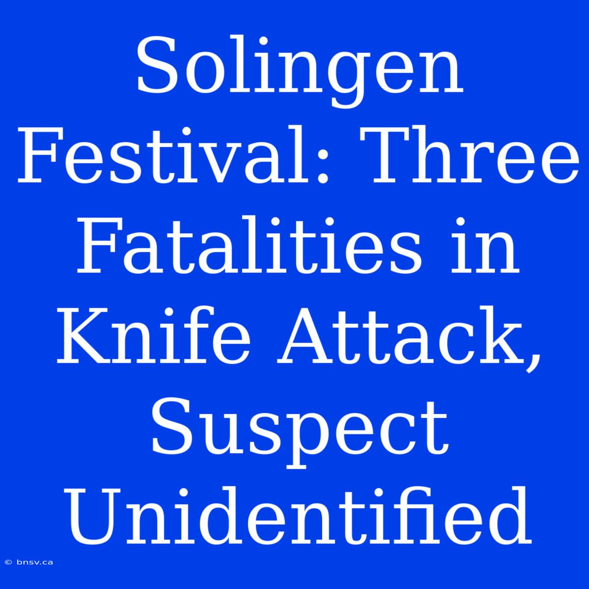 Solingen Festival: Three Fatalities In Knife Attack, Suspect Unidentified