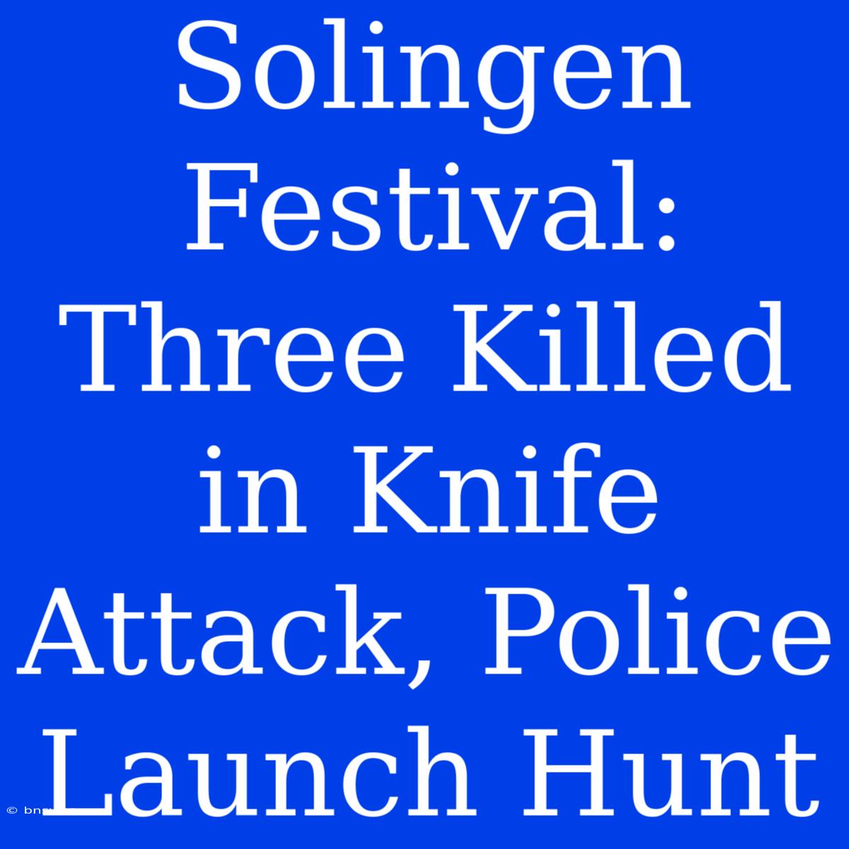 Solingen Festival: Three Killed In Knife Attack, Police Launch Hunt