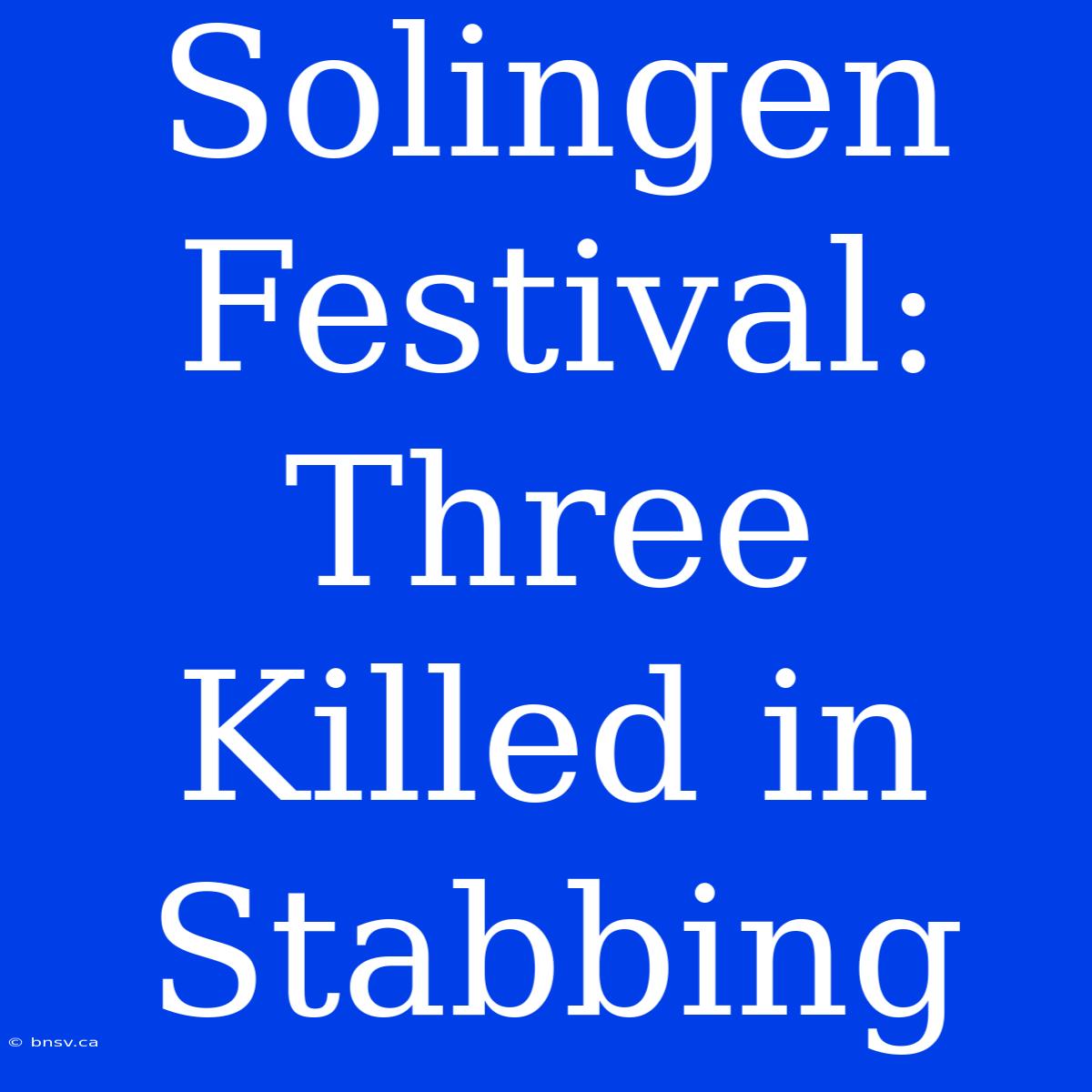 Solingen Festival: Three Killed In Stabbing