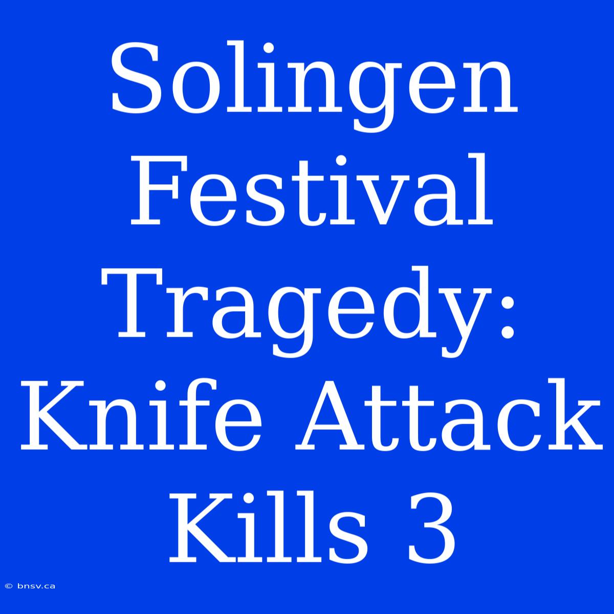 Solingen Festival Tragedy: Knife Attack Kills 3