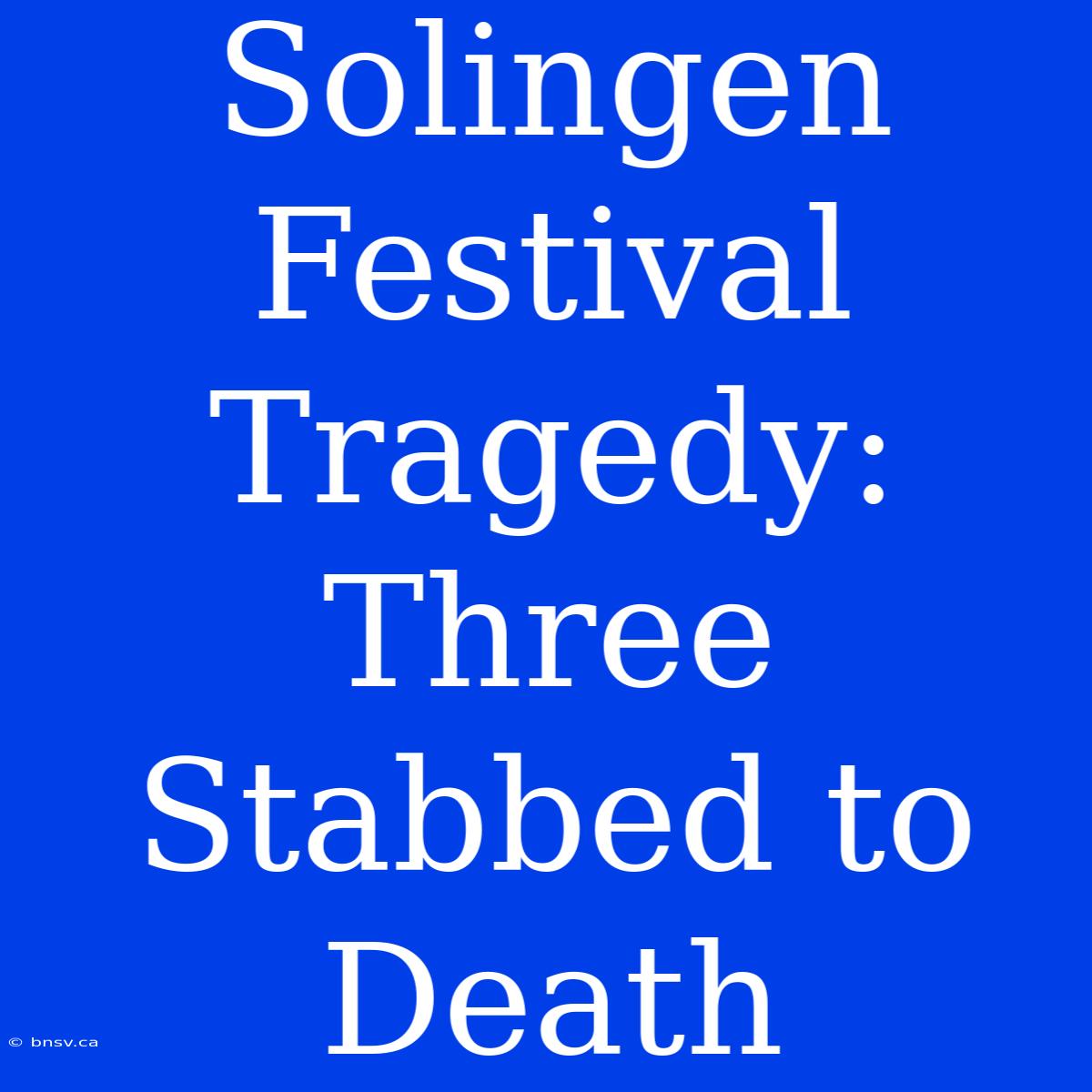 Solingen Festival Tragedy: Three Stabbed To Death